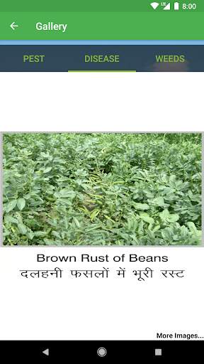 Insecticides India скриншот 5
