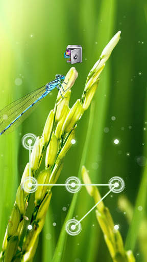 AppLock Live Theme Paddy – Paid Theme screenshot 1
