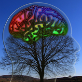 Brain Healing Sounds icon