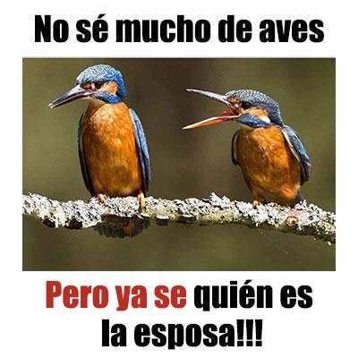 Imagenes chistosas screenshot 8