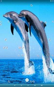 Dolphin Live Wallpaper screenshot 9