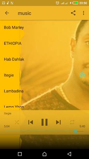 Teddy Afro Top - New Songs Without Internet screenshot 8