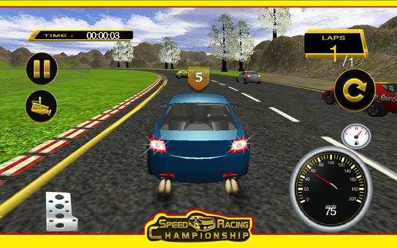 Speed Racing Championship screenshot 4