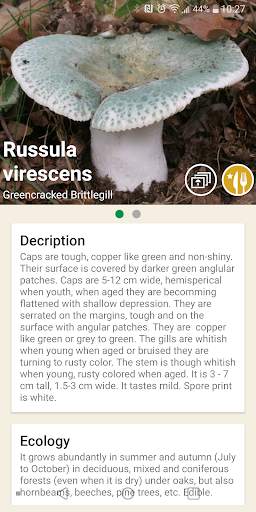 Mushrooms app screenshot 2