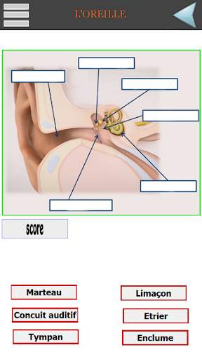 QCM Concours Aide-Soignant screenshot 10