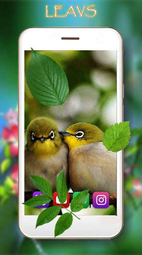Love Birds Live Wallpaper screenshot 5