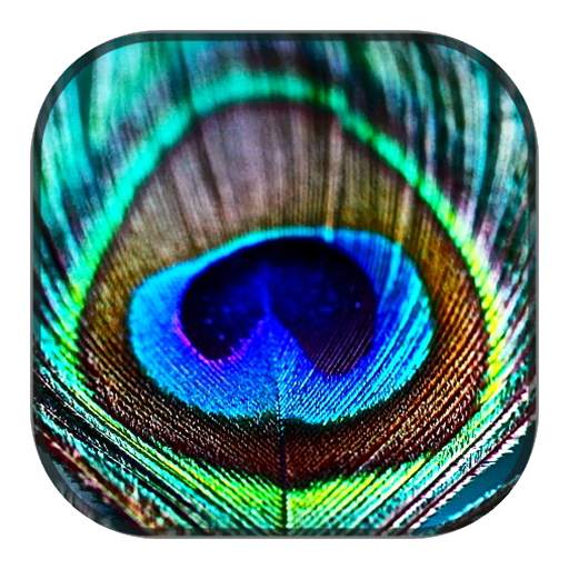 Peacock Wallpaper 1.0