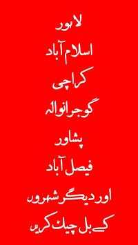 Bill Check Urdu screenshot 3