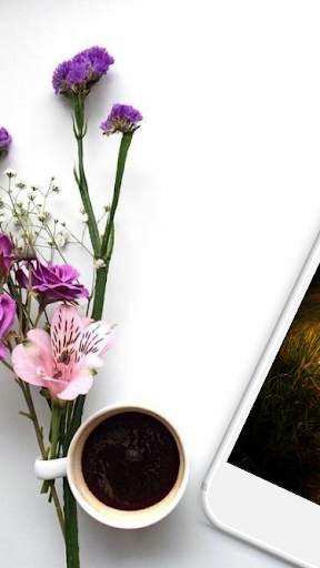 Wallpapers For Chat 6 تصوير الشاشة