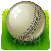 Play-On Cricket 1.0.2