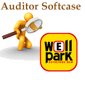 Auditor System for Parking icon