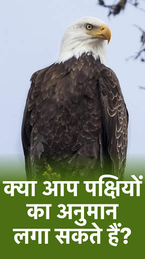 पशु - सभी पशु और पक्षी! चिड़ियाघर! जूलॉजी टेस्ट! स्क्रीनशॉट 2