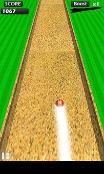 Rogue Cricket Ball screenshot 2