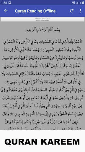 Al Minshawi Full Quran Offline screenshot 3