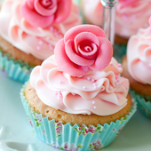 Cupcake Recipe Book icon