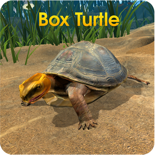 Box Turtle Simulator icon