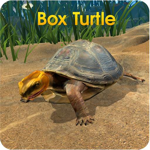 Box Turtle Simulator 1.0.1