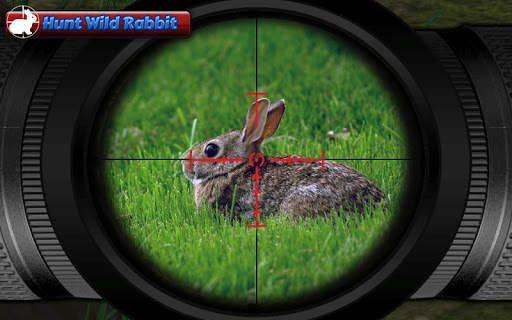 Animal Hunt Sniper Shooter screenshot 4