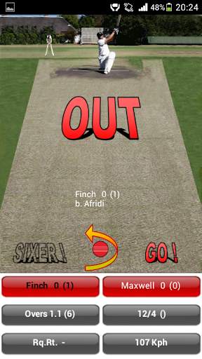 Batting Simulator screenshot 8