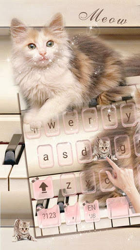 Cute Cat Live Wallpaper Theme screenshot 2