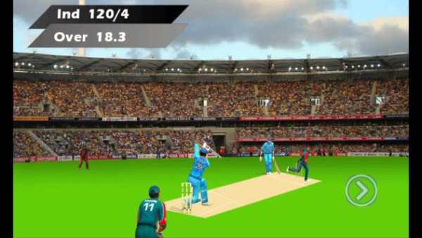I P Lead Cricket screenshot 1