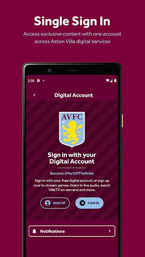 Aston Villa скриншот 7