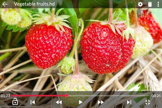 4K Video Player screenshot 7