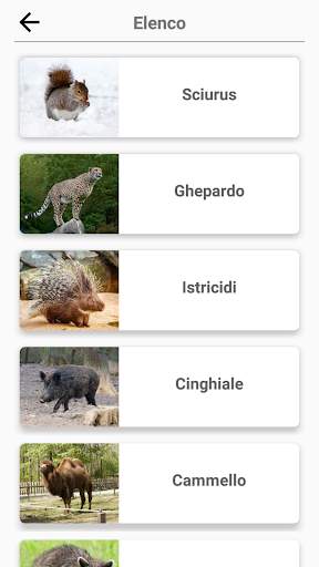 Mammiferi -Scopri tutti gli animali in Photo-Quiz! screenshot 7