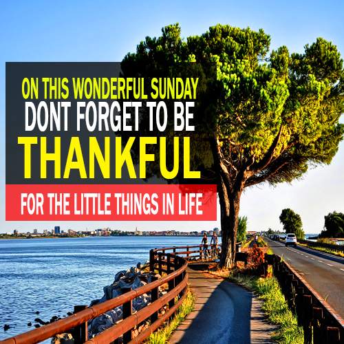 Monday to Sunday Quotes screenshot 10