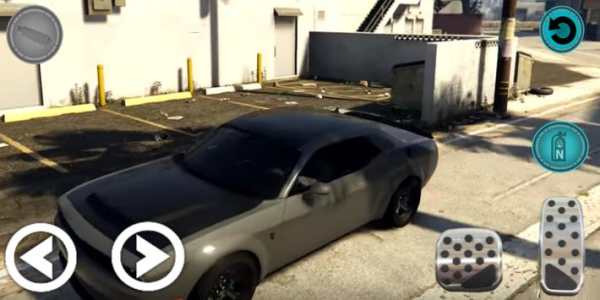 Real Dodge Driving Simulator 2019 screenshot 4