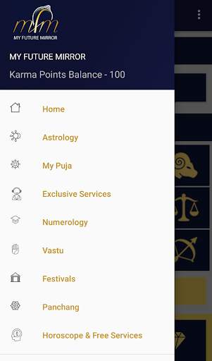 Vedic Astrology & Puja - My Future Mirror screenshot 4