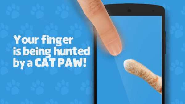 Teased Cat: Game screenshot 3