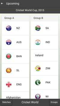 Cricket World screenshot 2