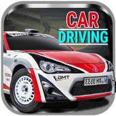 Car Driving icon
