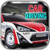 Car Driving 1.0