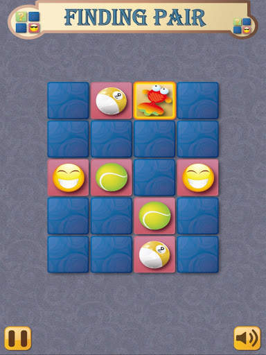 Finding Pair screenshot 12