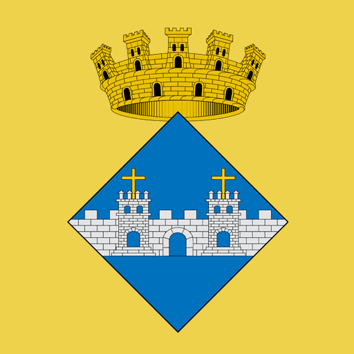 El Pla al dia icon