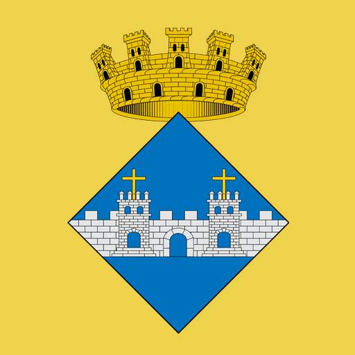 El Pla al dia 1.2