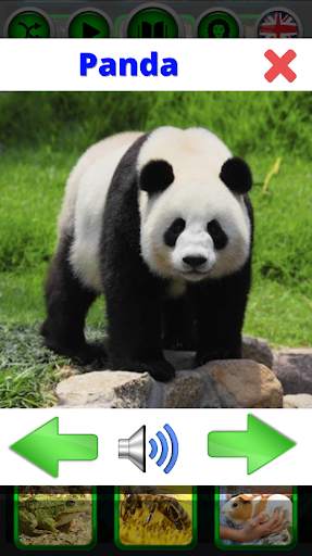 Animal sounds screenshot 4
