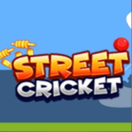 Street cricket game 2022 1.0.59