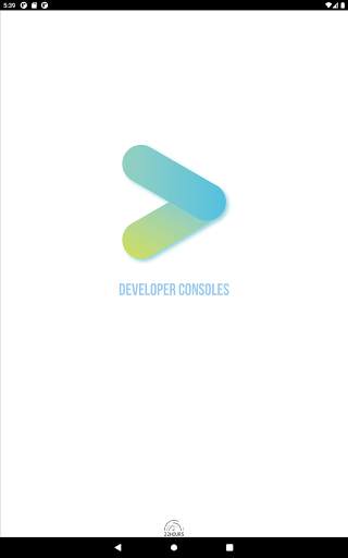 developer console screenshot 6