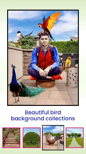 Bird Photo Editor screenshot 3