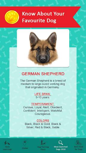 Dog Clicker Puppy Training App screenshot 8