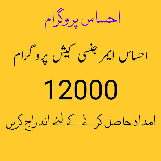 Ehsaas  Payment Check Online screenshot 6
