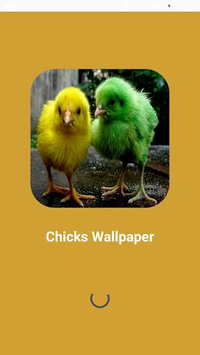 Chicks Wallpapers screenshot 1