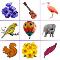 Picture Match Brain Game