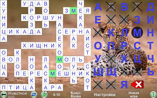 Кроссворд Кодовое Слово скриншот 24