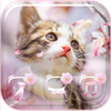 Sakura Kitty Theme Wallpaper icon