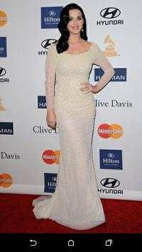 Katy Perry Music screenshot 3