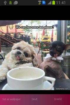 Funny Pics screenshot 1